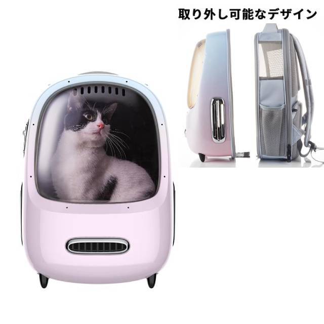 店舗名